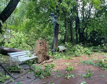 Sinaia, ca după război. Străzile încă sunt blocate, iar parcul din centru rămâne închis. Vila lui Cristi Borcea, (…)