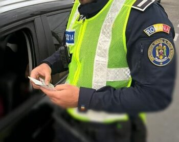 Transport ilegal de lemne în Bihor: bărbat reținut pentru 24 de ore și amendat cu 4.000 de lei