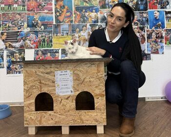 Căsuțe gratuite pentru pisicile nimănui în București și Ilfov. A început distribuirea adăposturilor de iarnă