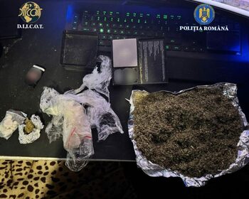 (VIDEO) Percheziții la Craiova. Trei persoane reținute pentru trafic de droguri și substanțe psihoactive