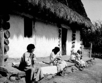 Tradiţii şi superstiţii. Filipii de toamnă - ce ai voie şi ce nu ai voie să faci în această zi