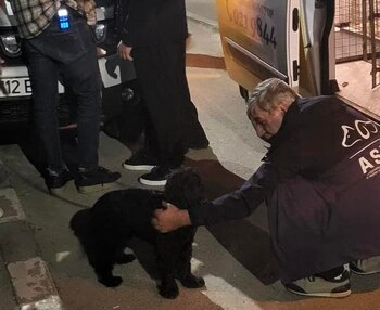 Bărbat filmat în timp ce își bătea câinele. Individul ar mai fi agresat animalul și în trecut. Poliția a început (…)