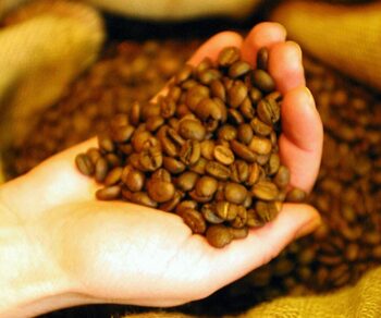 Studiu. Cafeina activează un comutator celular care ar putea încetini îmbătrânirea