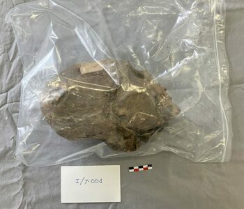 Un cap mumificat din Bolivia, vechi de 350 de ani, nu este ce au crezut cercetătorii