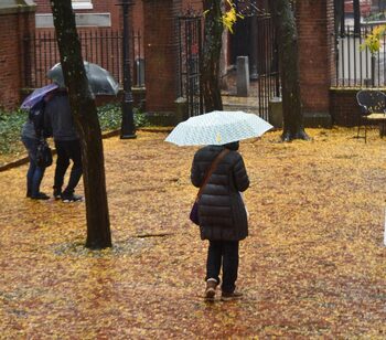 Ploi importante cantitativ, precipitații sub formă de lapoviță și ninsoare, intensificări ale vântului și răcire a (…)