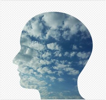 Acest nutrient mai puțin cunoscut, pe care mulți oameni nu îl primesc suficient, poate ameliora anxietatea