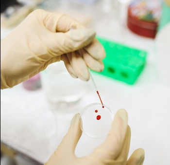 Oamenii de știință au creat un instrument care prezice riscul ca un copil să devină un adult obez. Și încă ceva
