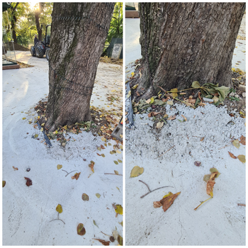 Prima dată se betonează, după care se amenajează. Metoda aplicată în cadrul lucrărilor de reabilitare a Parcului (…)