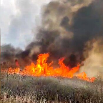 Incendiu cu degajări mari de fum, în apropiere de Ploieşti. Focul s-a extins pe 80 de hectare