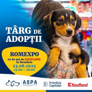 ASPA: Următorul târg de adopții, sâmbătă, 23 august, în cadrul evenimentului „20 de ani de Kaufland în România”