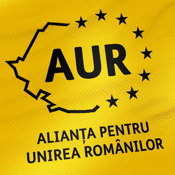 AUR, pe locul 2 la bugete primite de la stat în 2025. Principalele cheltuieli ale partidelor: presa şi propaganda