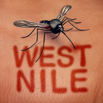 Numărul cazurilor de infecție cu virusul West Nile, în continuă creștere. Vârful transmiterii, în august-septembrie