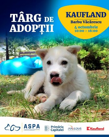 ASPA marchează Ziua Internațională a Animalelor cu un târg de adopții la Kaufland Barbu Văcărescu