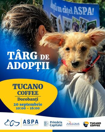 Târg de adopții ASPA: 15 căței își caută familii la un eveniment în Dorobanți