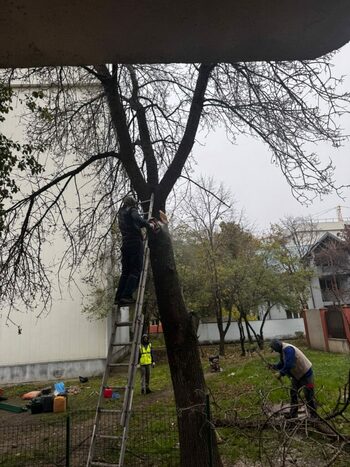 Spațiul verde dintre blocuri, proprietate privată