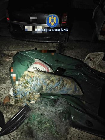 Braconaj piscicol pe râul Olt