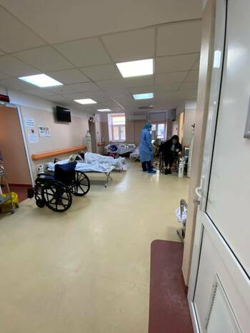 Două persoane din Ialomița, tată și fiu, sub suspiciune de infecție cu Antrax / Ministerul Sănătății: Analizele (…)