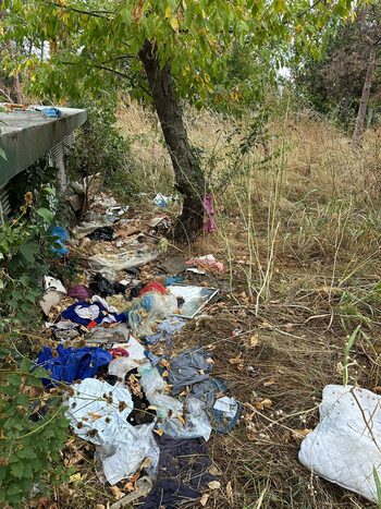 O tonă de gunoi, strânsă în doar 3 ore din Parcul Grozăvești