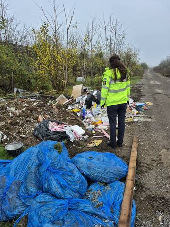 Poliția Locală Pantelimon caută persoanele care persoanele care aruncă gunoi în cantități mari pe spațiile verzi