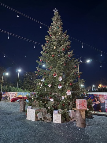 Magia lui Răzvan Botezatu schimbă zona! Cum profită proprietarii din Lazu și ce au de câștigat după anunțul târgului (…)