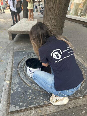 Recipiente cu apă pentru animale, instalate în mai multe zone din Sectorul 1