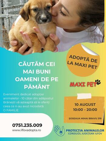 Târg de adopții la Maxi Pet: Zece căței din adăpostul Brănești își caută familii iubitoare