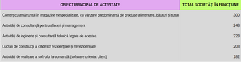Care sunt cele mai populare domenii în care studenţii înfiinţează firme: comerţul, consultanţa, ingineria, (…)