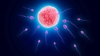 Situație îngrijorătoare: Erbicid cunoscut găsit în cantități ridicate în peste 55% din probele de spermă de la o (...)